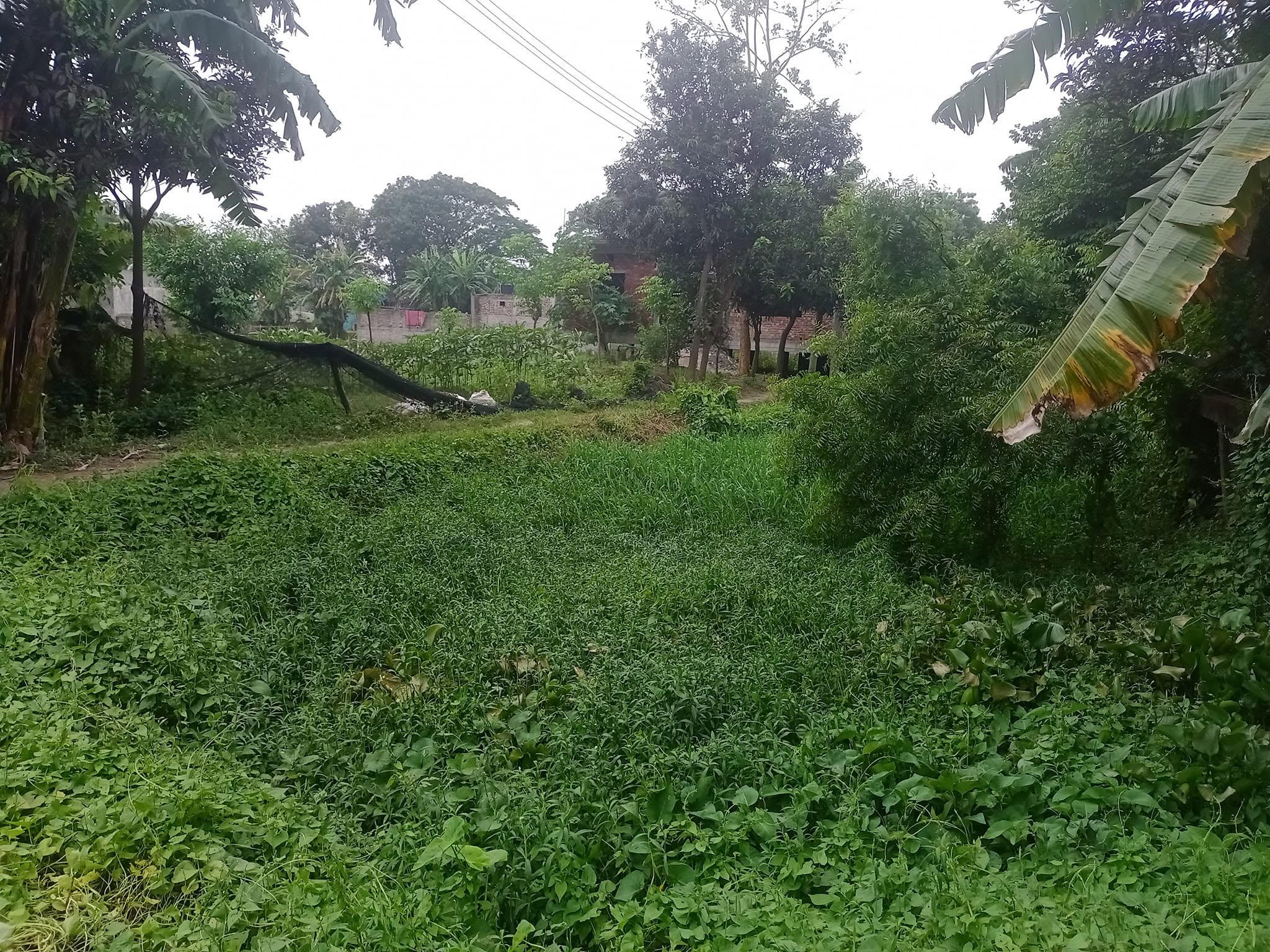 এই জমির শেয়ার বিক্রয় করা হবে। জমির পরিমাণ দশ কাঠা। লোকেশন হলো চামুর খান