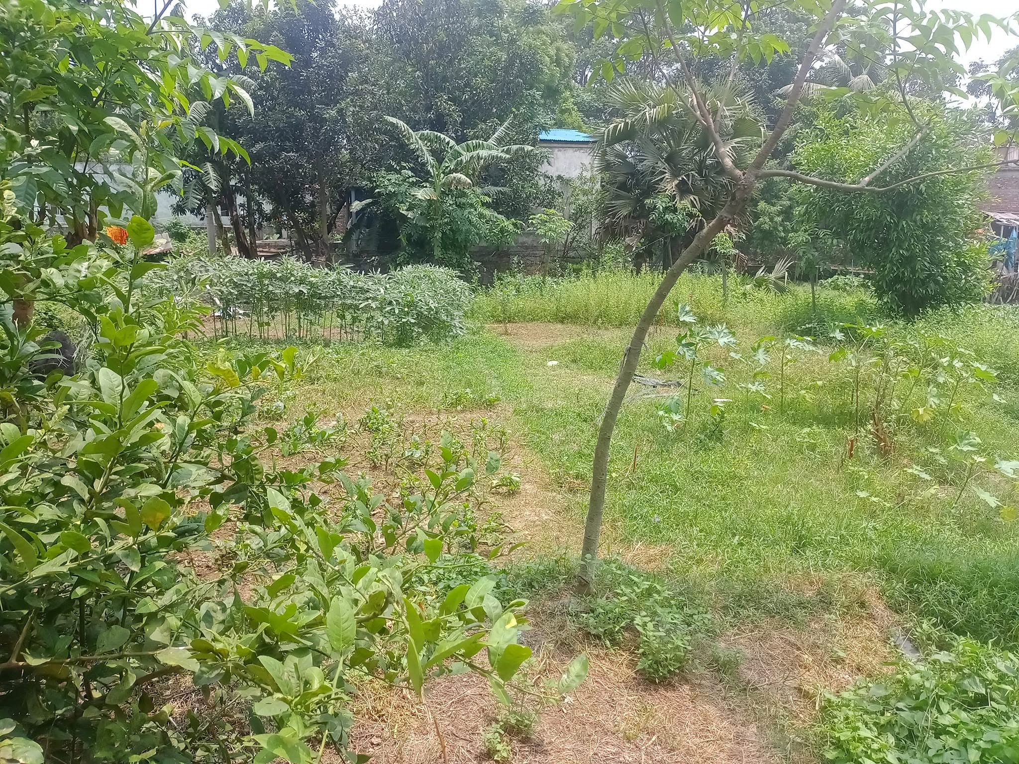 এই জমিটি বিক্রয় করা হবে। জমির পরিমান ১০ কাঠা। উত্তর খান গোবিন্দপুর মৌজা